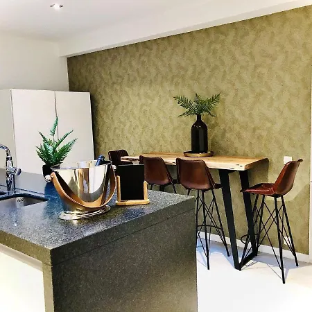 Semesterbostad Attractive Holiday With Rooftop Terrace In Town Centre Nieuwpoort