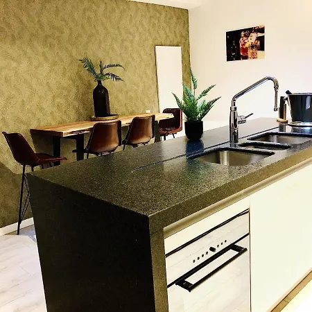 Attractive Holiday With Rooftop Terrace In Town Centre Semesterbostad